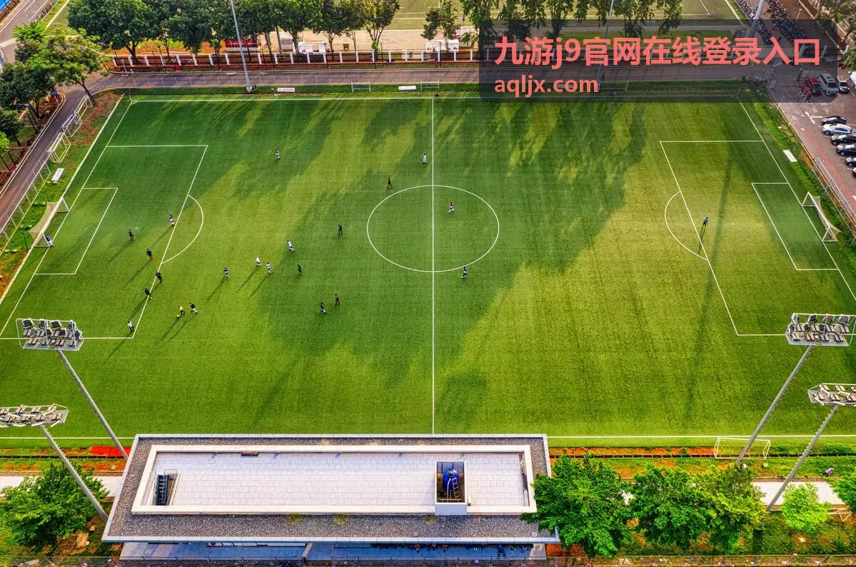 九游j9官网在线登录入口路径指引